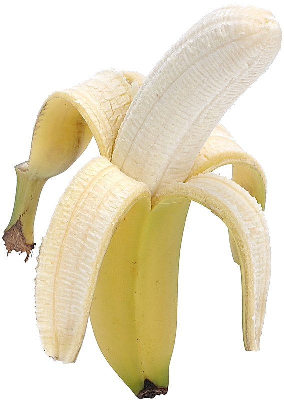 AI gegenereerde afbeelding voor 'Easter Egg #2'